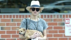 Jennifer Lawrence hat ihr Hündchen  „Princess Pippi Longstocking“ bei ihren Eltern unterbringen ...