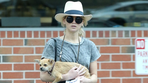 Jennifer Lawrence hat ihr Hündchen „Princess Pippi Longstocking“ bei ihren Eltern unterbringen ...