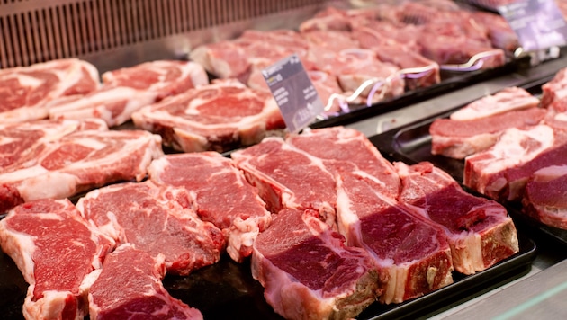 Kritiker des Abkommens befürchten, dass in Zukunft billiges Fleisch aus den Mercosur-Ländern in ...