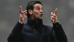 Inter-Trainer Cristian Chivu