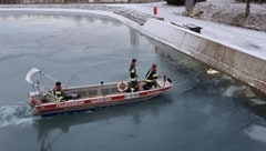 Der Schwan wurde aus dem eisigen Wasser gerettet