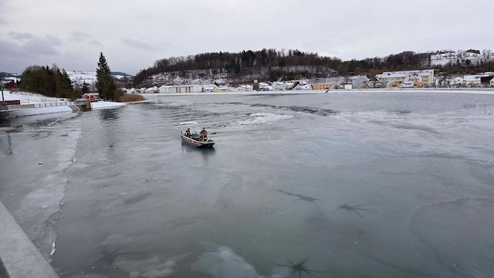 Mit einem Boot drangen die Floriani zu dem Tier vor