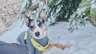 Fabian P. war hilfloser Augenzeuge, als „Cooper“ erschossen wurde.