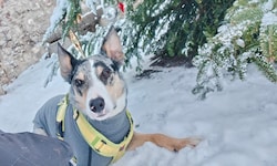Fabian P. war hilfloser Augenzeuge, als „Cooper“ erschossen wurde.