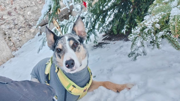 Fabian P. war hilfloser Augenzeuge, als „Cooper“ erschossen wurde.