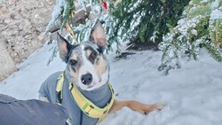 Fabian P. war hilfloser Augenzeuge, als „Cooper“ erschossen wurde.