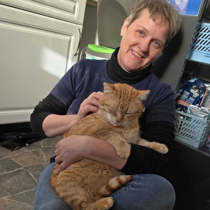 Im liebevoll eingerichteten Katzenhaus dürfen alte oder kranke, kastrierte Streuner geschützt ...