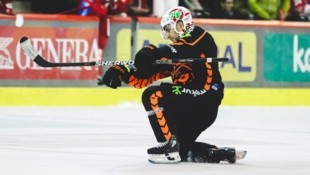 Nick Bailen hatte in dieser Saison schon einige Male Grund zu jubeln.