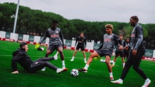 Im Training der Bullen (Betreuer Junuzovic, Konate, Omoregie und Gadou v. links) kommt der Spaß ...