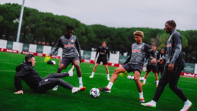 Im Training der Bullen (Betreuer Junuzovic, Konate, Omoregie und Gadou v. links) kommt der Spaß ...