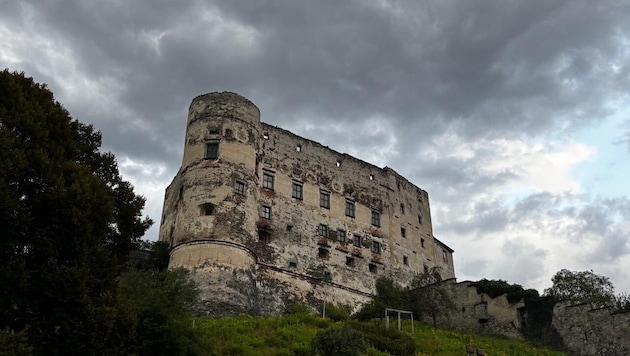 Die Alte Burg wurde im Spätmittelalter als Höhenburg errichtet.