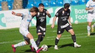 Tomi Horvat soll ein Angebot aus England vorliegen.