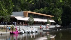 Der Thaler See Garten 