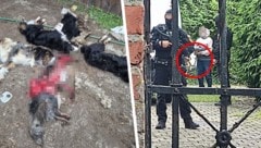 Auf den Höfen der Österreicherin spielten sich schockierende Szenen ab. Beim Prozess letzten ...