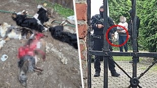 Auf den Höfen der Österreicherin spielten sich schockierende Szenen ab. Beim Prozess letzten ...