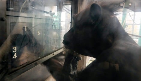 Ai bei einem kognitiven Test mit Zahlenzeichen