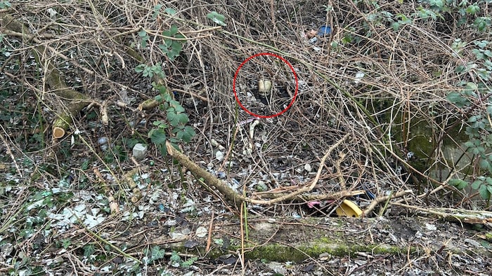 In diesem Gebüsch fanden zwei Kinder menschliche Überreste.