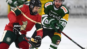 Obmann und Spieler – Andreas Schmidhofer (li.) zieht die Fäden bei den Reifnitz Trouts.