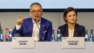 Kickl-Stellvertreterin Svazek referiert bei der AfD-Landtagsfraktion aus Sachsen-Anhalt.