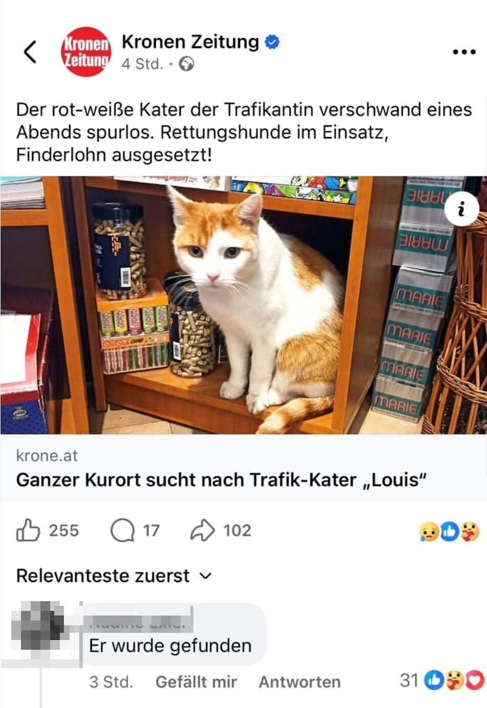 Die Suche mithilfe der „Krone“ hatte Erfolg.