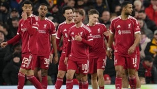 Freude und Erleichterung bei den Liverpool-Spielern