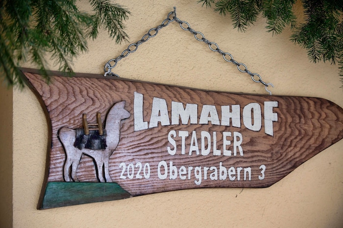 Erwin Stadler und sein Lama- und Alpakahof