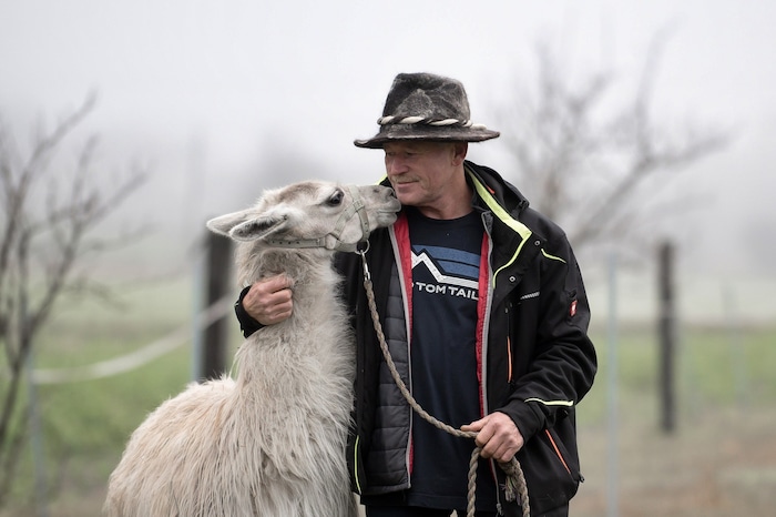 Erwin Stadler und sein Lama- und Alpakahof