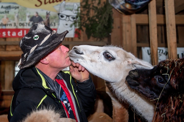 Erwin Stadler und sein Lama- und Alpakahof