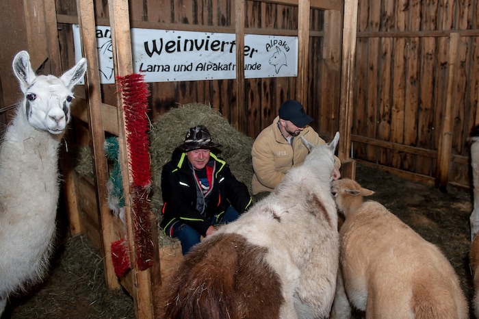 „Krone“-Redakteur Thomas Werth besuchte Stadler auf seinem Hof.