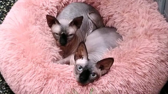 Waiting for happiness