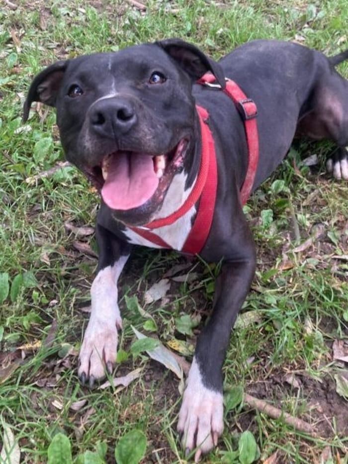 Stella simply has no one who loves her