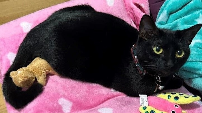 In Frohnleiten verschwunden