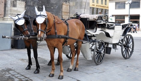Die Wiener Fiaker prägen das Stadtbild seit mehr als 300 Jahren.