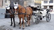 Die Wiener Fiaker prägen das Stadtbild seit mehr als 300 Jahren.