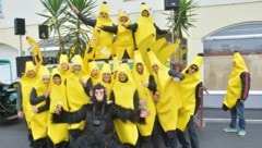 Die Bananen und ihr Affe müssen heuer daheim bleiben – der nächste Tullner Umzug ist erst 2027