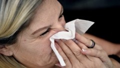 Harmlose Schnupfensymptome sind derzeit oft Vorboten für die echte Grippe.