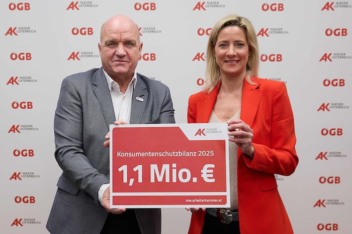 1,1 Millionen Euro hätten viele Niederösterreicher womöglich verloren, hätten sie sich nicht ...