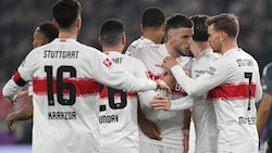 Stuttgarter Jubeltraube