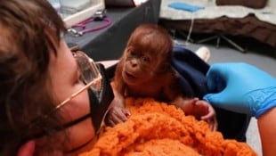 „Ruhana“ ist nach dem Eingriff wohlauf.