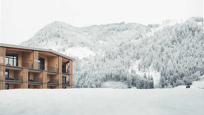 Nesslerhof, Grossarl