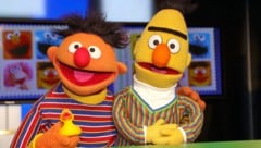 Ernie und Bert freuen sich über ihren neuen Nebenjob in Hamburg.