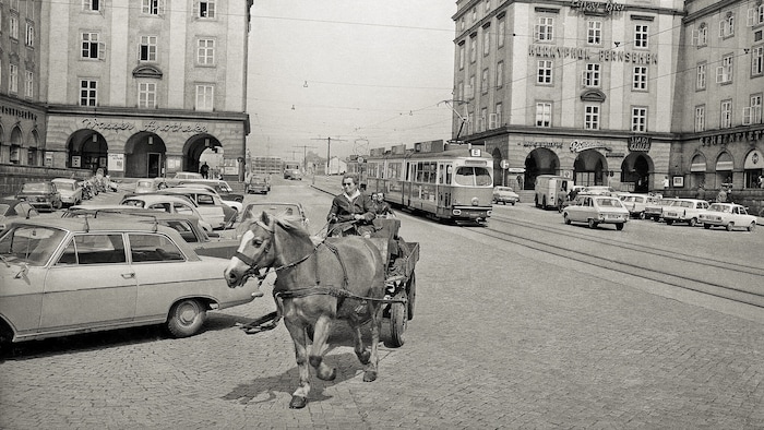Legende: Maria Reichl, Landwirtin mit Kutsche (1975)