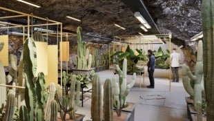 Die unterirdischen Gänge des Kreuzberglstollens werden nun wieder bespielt – und zwar mit ...