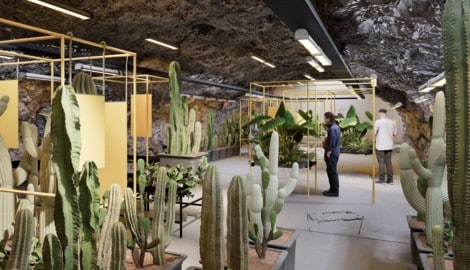 Die unterirdischen Gänge des Kreuzberglstollens werden nun wieder bespielt – und zwar mit ...