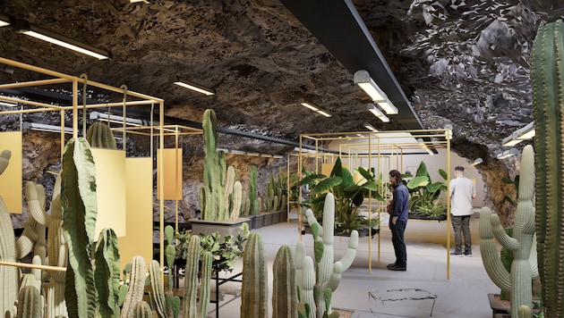 Die unterirdischen Gänge des Kreuzberglstollens werden nun wieder bespielt – und zwar mit ...