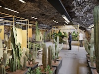 Die unterirdischen Gänge des Kreuzberglstollens werden nun wieder bespielt – und zwar mit ...