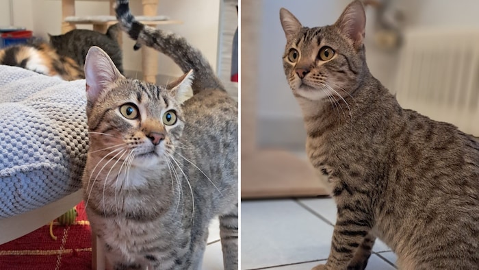 Ich hätte gerne viel Aufmerksamkeit!