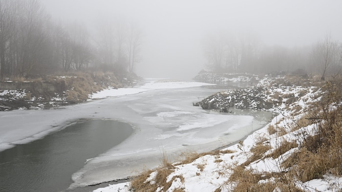 Pilnacek spoke to former Chancellor Kurz on the phone before he drowned.