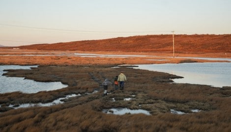 Alaska (Bild) haben die USA 1867 von Russland erworben.