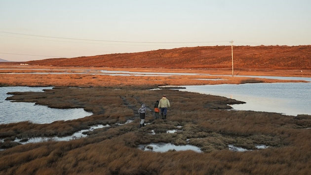 Alaska (Bild) haben die USA 1867 von Russland erworben.